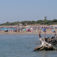 Photo de France - La randonnée de la Tamarissière